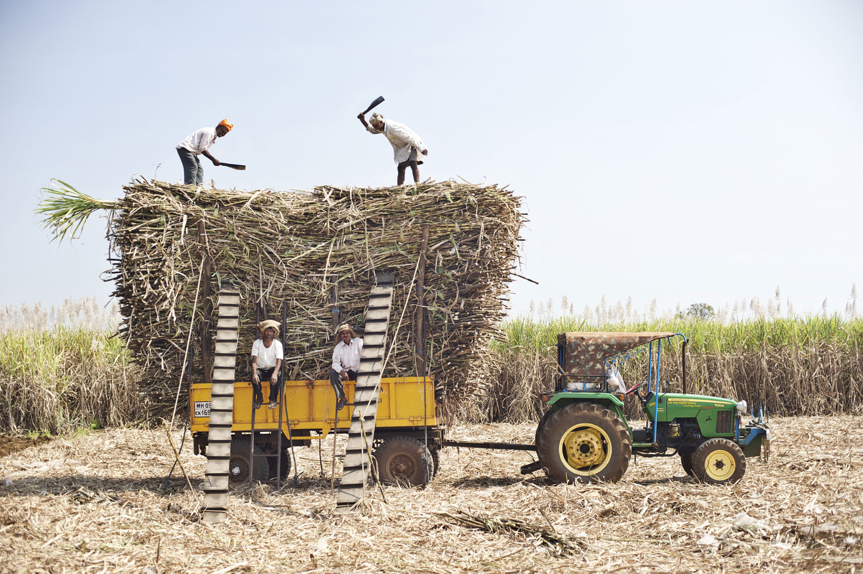 Agriculture photography for Olam